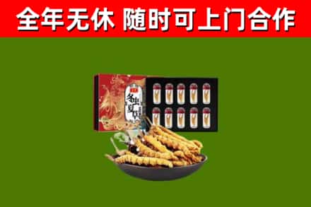 沁源县回收冬虫夏草价格