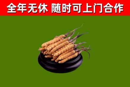 沁源县烟酒回收冬虫夏草.jpg